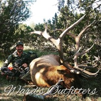 Coues Deer, Mule Deer, Elk, Javelina, Black Bear, Gould's Turkey, Bighorn Sheep
