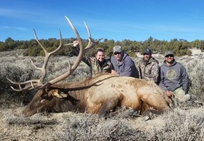 Elk, Mule Deer, Antelope, Bighorn Sheep