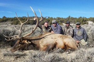 Elk, Mule Deer, Antelope, Bighorn Sheep