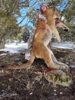 Mountain Lion 