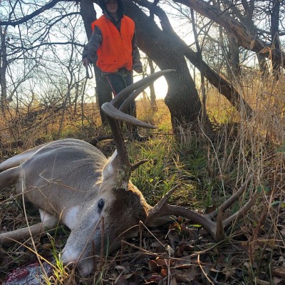Oklahoma Hunts - Whitetail Deer, Hogs, Turkey, Quail, Dove, Duck, Predators