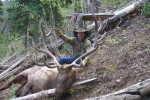 Moose, Elk, Mule Deer, Mountain Goat, Pronghorn