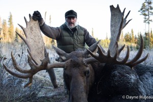 Moose, Elk, Black Bear, Mule Deer, Waterfowl, Predators