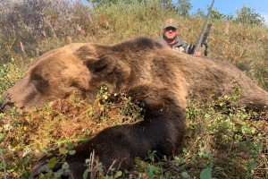 Grizzly Bear, Black Bear
