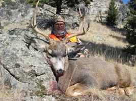 Mule Deer