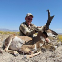 Antelope 