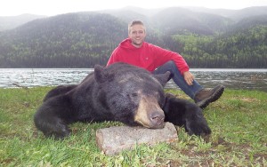 Black Bear