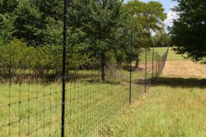 OUR EXPERIENCE AND EXPERTISE SET THE STANDARD IN HIGH GAME FENCES
