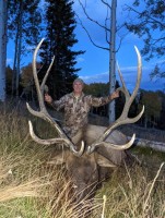 Moose, Bear, Mule Deer, Elk, Mountain Lion, Antelope