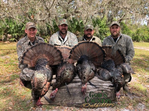 Alligator, Hog, Turkey