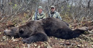 Brown Bear, Moose