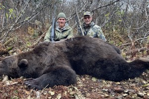 Brown Bear, Moose