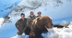 Brown Bear, Moose