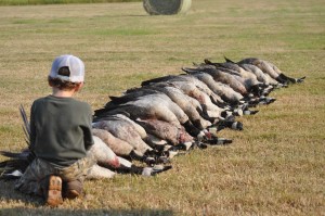 Waterfowl, Quail, Hog