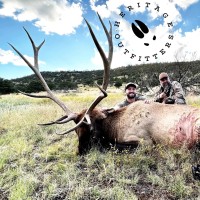 Elk