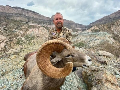Bighorn Sheep, Coues Deer, Goulds Turkey