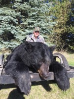Black Bear, Moose, Elk, Whitetail, Mule Deer, Waterfowl
