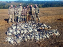 Snow, White-Fronted, Canada Goose, Cranes, Mallard, Pintails