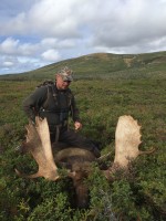 Moose, Caribou, Black Bear