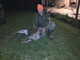 Whitetail, Turkey